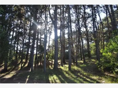 Hotel en Venta en Mar Azul, USD 340.000