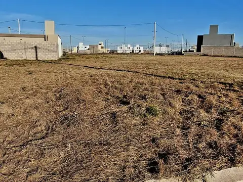 José Benito Cottolengo