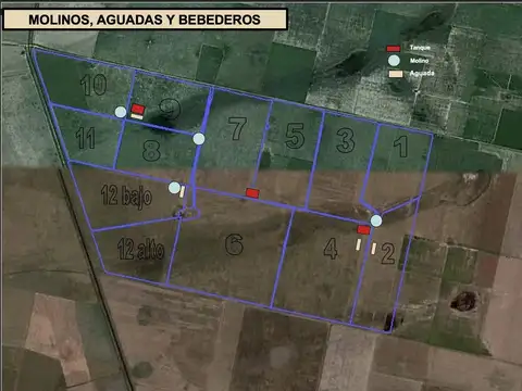 Campo Ganadero Piamonte -Santa Fe