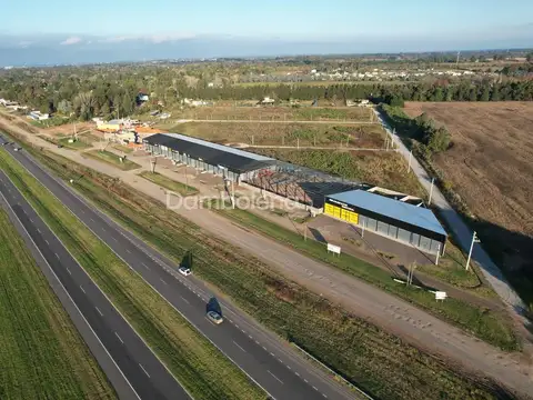 Local en Alquiler A Estrenar