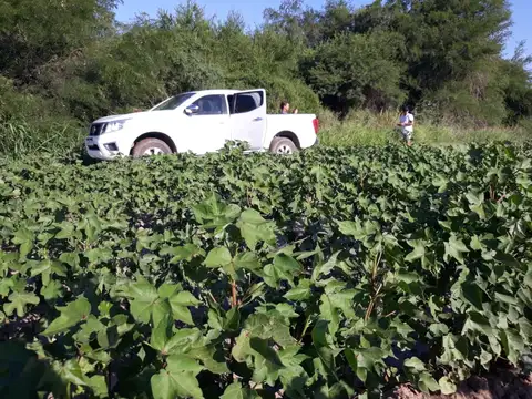Campo en Venta de 1.200  ha