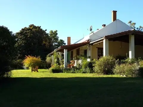 SAN JAVIER Y YACANTO 100