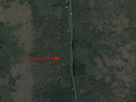 Casa Quinta  en Venta en 9 de Julio, Zona Delta, Tigre