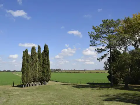 EXCELENTE CAMPO EN ARRECIFES 100