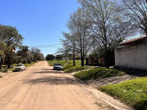 Artigas entre Bernard y Evita