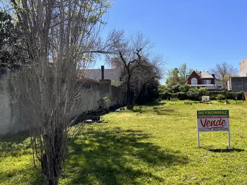 Terreno en Venta 10  mts Frente