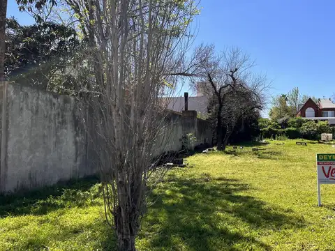 Terreno en Venta 41  mts Fondo