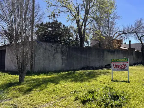 Artigas entre Bernard y Evita