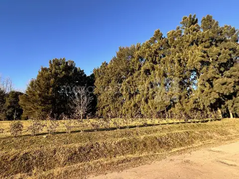 Terreno en Venta en Chascomus, USD 149.000