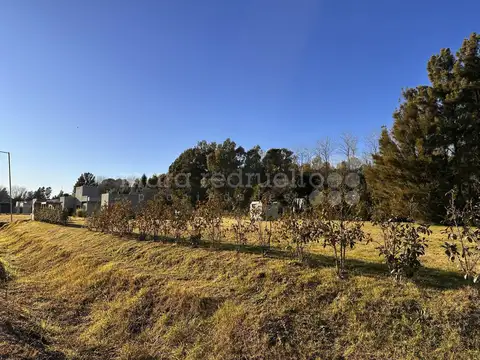 VENTA LOTE CHASCOMUS LA NATIVIDAD LAGUNA