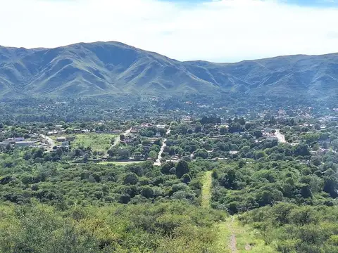 Terreno en Venta 43  mts Fondo