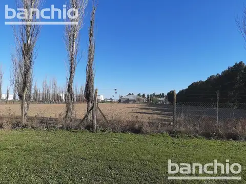 Venta Nave Industrial sobre A012 - Roldan. Santa Fe