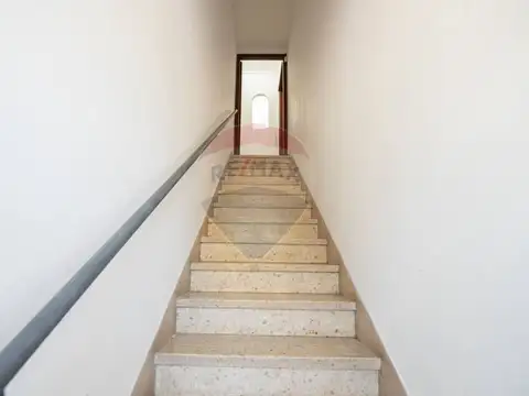 Magariños Cervantes 2000