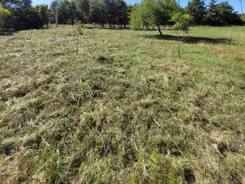 Las Casuarinas en Zona Norte