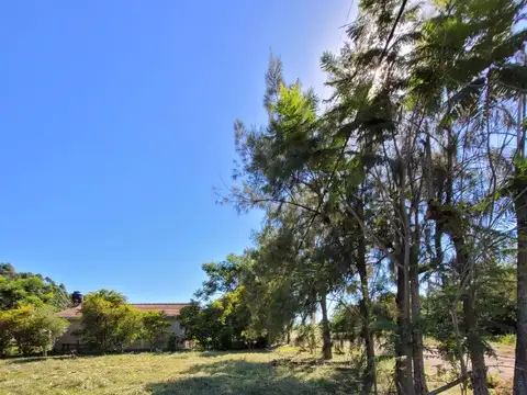 Las Casuarinas en Zona Norte