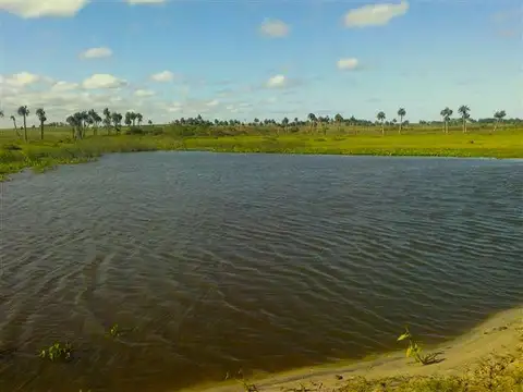 Campo - Venta - Uruguay, Rocha