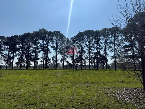 Terreno Lote  en Venta en Pinares CC, Exaltación de la Cruz, G.B.A. Zona Norte