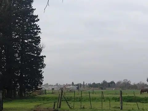 SE VENDE CAMPO PARTE INDIVISA EN PERGAMINO