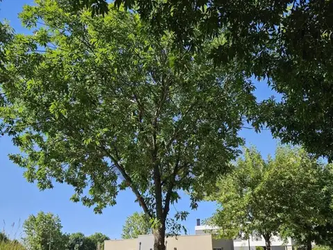 Terreno en Venta en Barrancas de Iraola, USD 90.000