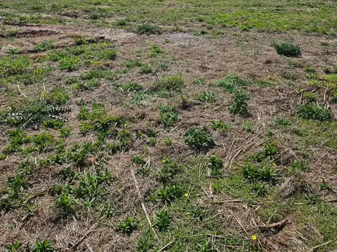 Terreno en Venta de 360,0 m2