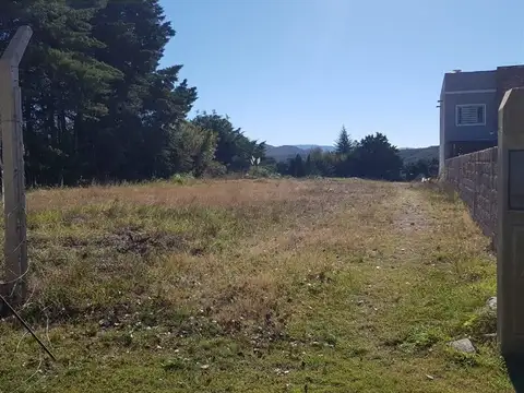 Venta – Lote 2.330 m² sobre Ruta 39 | San Luis