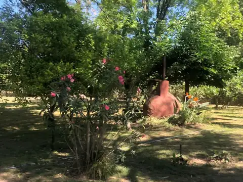 Quinta en Venta 30 años