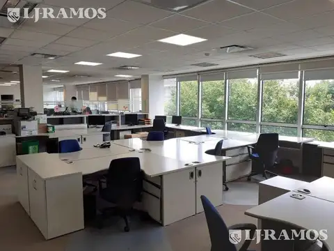 Oficina en Alquiler 13 años