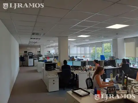 Oficina en Alquiler al Norte