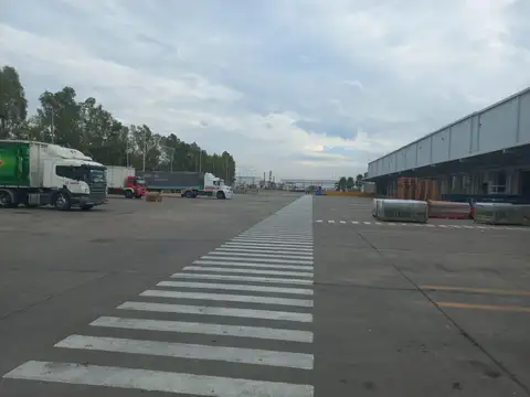 Otto Krause  al 4200