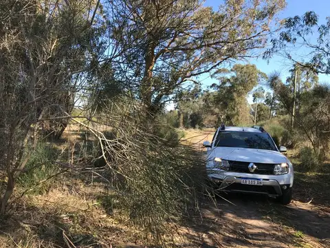 dos terrenos sobre calle 60 entre 183 y 181 juntos 10 x 30