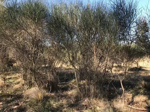 Terreno en Venta en Necochea, USD 15.000