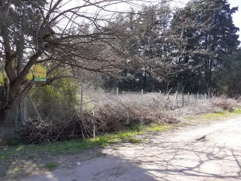 El Prado 900 El Remanso 900