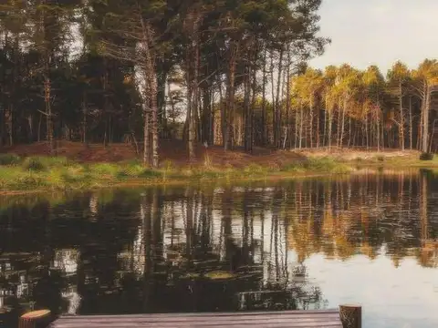 Terreno en Venta en Pinamar, USD 250.000