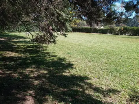 Bo El Remanso km 100