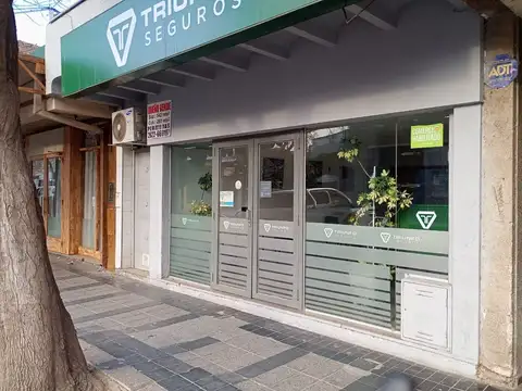 LOCAL - TERRENO 540 M2 K-0 DE TUPUNGATO