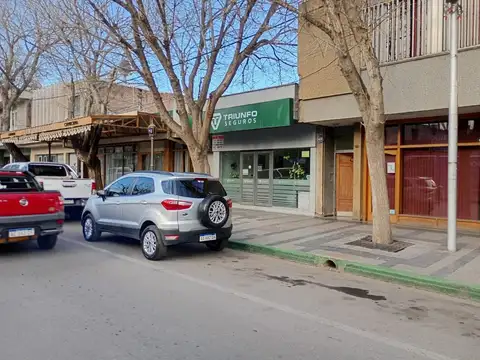 Local en Venta en Tupungato, USD 400.000