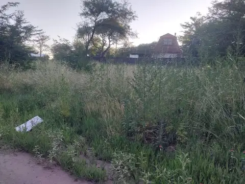 Reina de las Rosas 1400