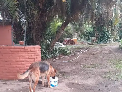 Quinta en Venta en Del Viso, USD 280.000