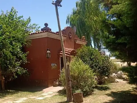 Campo en Venta Agrícola