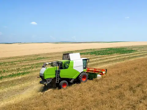 Campo en venta en Santiago del Estero -  1600 has