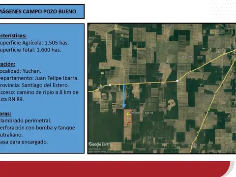 Campo en venta en Santiago del Estero -  1600 has