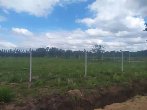 Terreno en Venta en Arturo Segui, USD 10.000