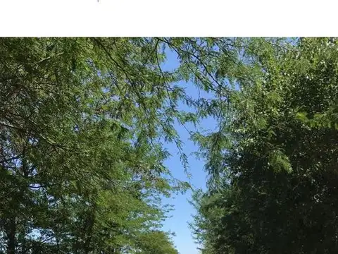 Terreno en Venta de 600,0 m2