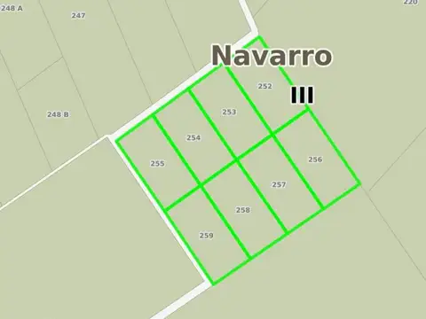 Venta Campo en Navarro  32 Has.  OPORTUNIDAD