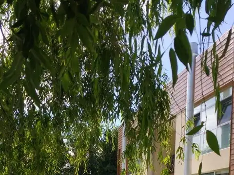 Fondo Comercio en Venta en Chascomus, USD 1