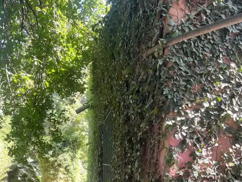 Pisano Negocios Inmobiliarios