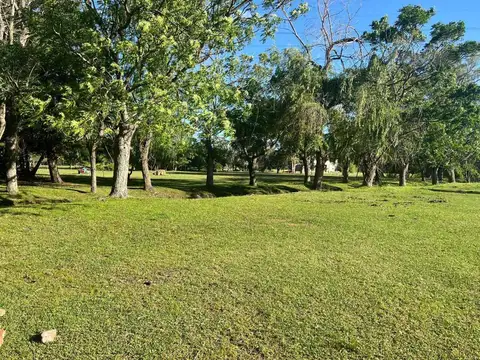 Calle 502 entre 202 y 208 100