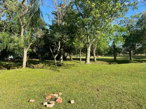 Calle 502 entre 202 y 208 100