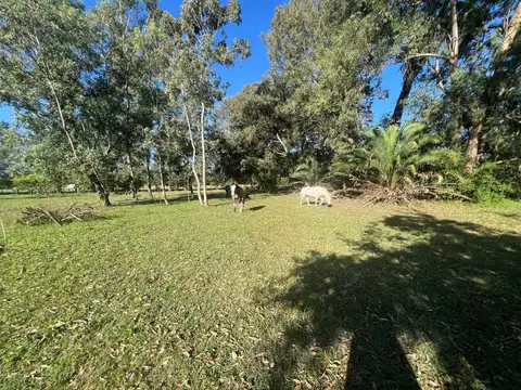 Calle 502 entre 202 y 208 100