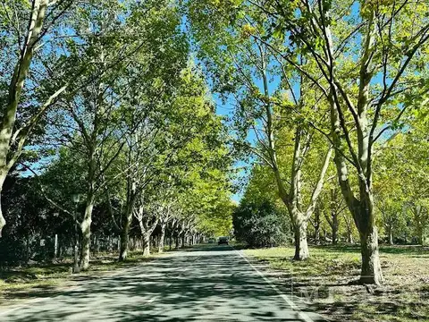 Lote de 1002m² en venta en Los Alcanfores, Pilar